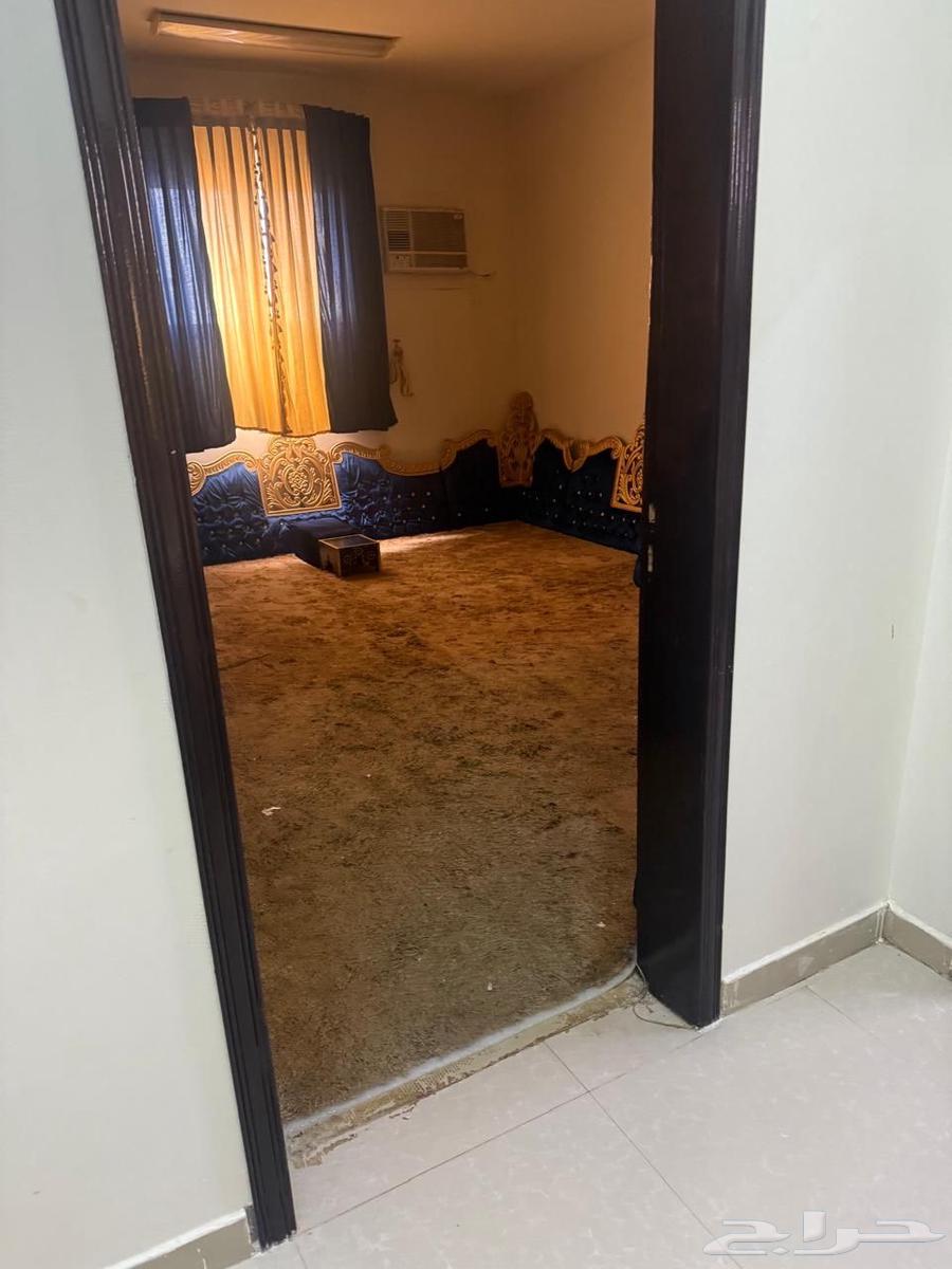 غرفة للإيجار