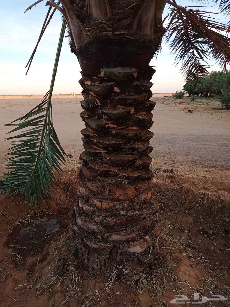 We have skilled cleaning workers with solid work experience64571106502657110