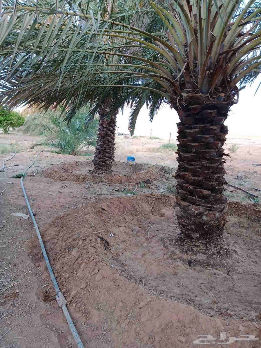 We have skilled cleaning workers with solid work experience64571106502657112