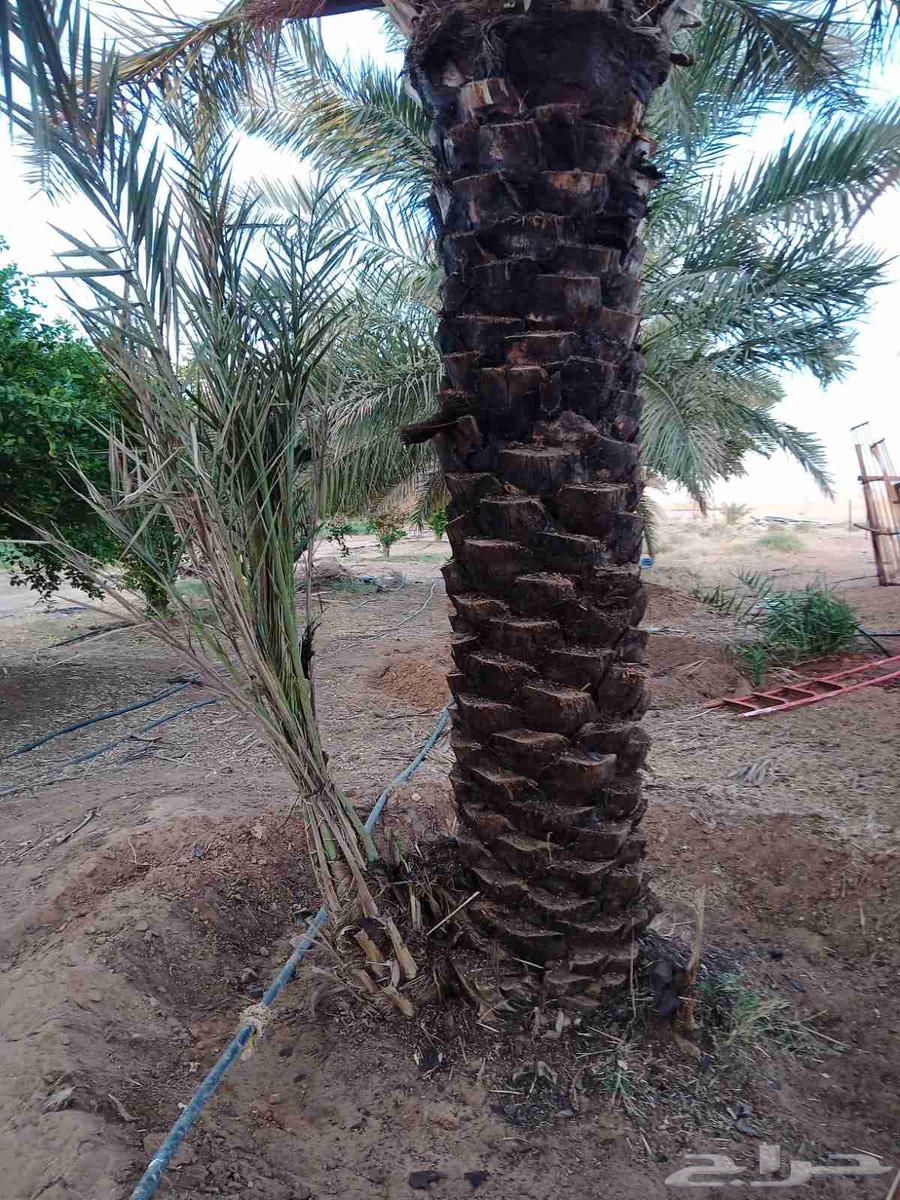 We have skilled cleaning workers with solid work experience64571106502657111