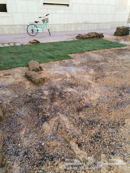 تنسيق حدائق عشب صناعي زراعه التيل الطبيعي تكريب النخيل64504709120897110