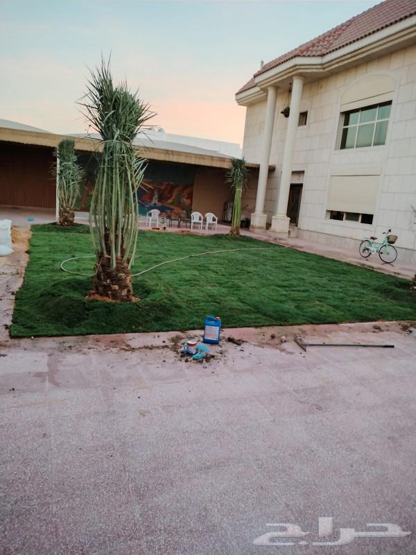 تنسيق حدائق عشب صناعي زراعه التيل الطبيعي تكريب النخيل64504709120897111