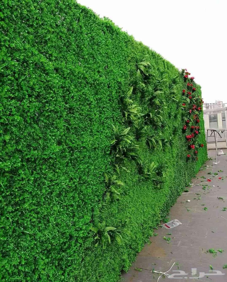 ارضيات رياضيه وعشب صناي64314140571266110