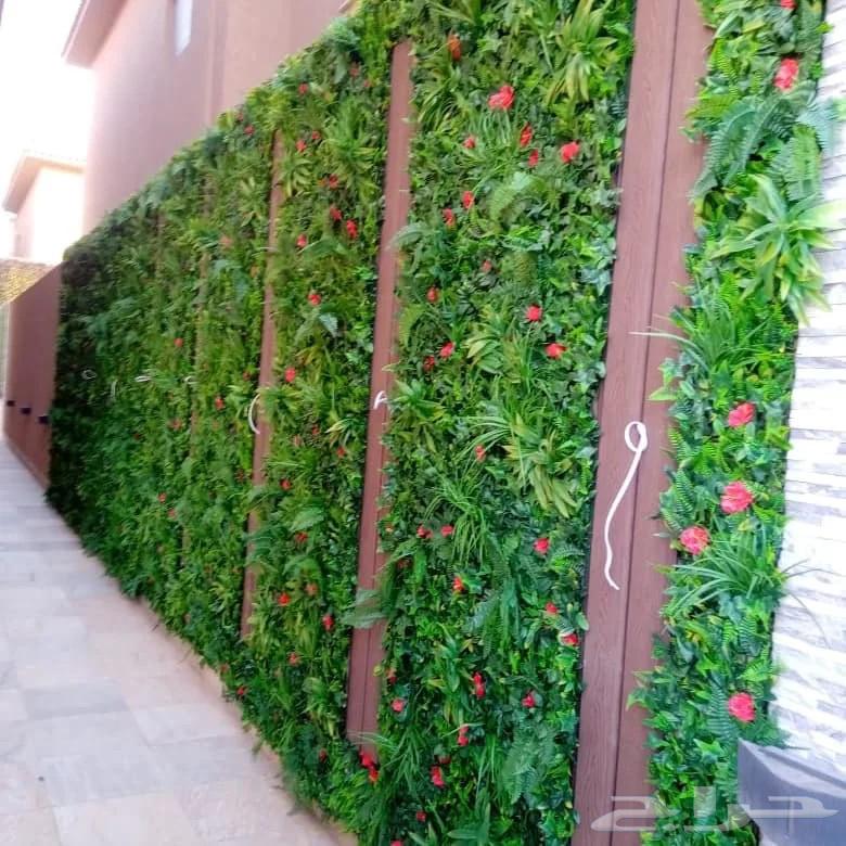 تنسيق وزراعة الحدائق وصيانتها داخل الرياض64459851867777111