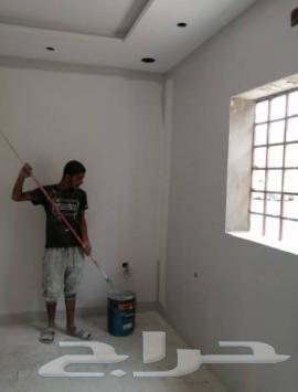 معلم دهانات بويه64571217125506113