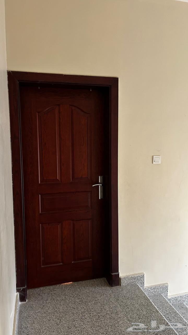 Studio for rent, air-conditioned, in a prestigious neighborhood, semi-annual64354534252803110