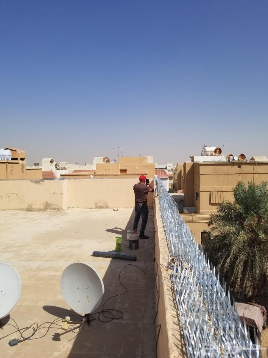 Pigeon Repeller Installation Company Pigeon Deterrent Installation64327103598979113