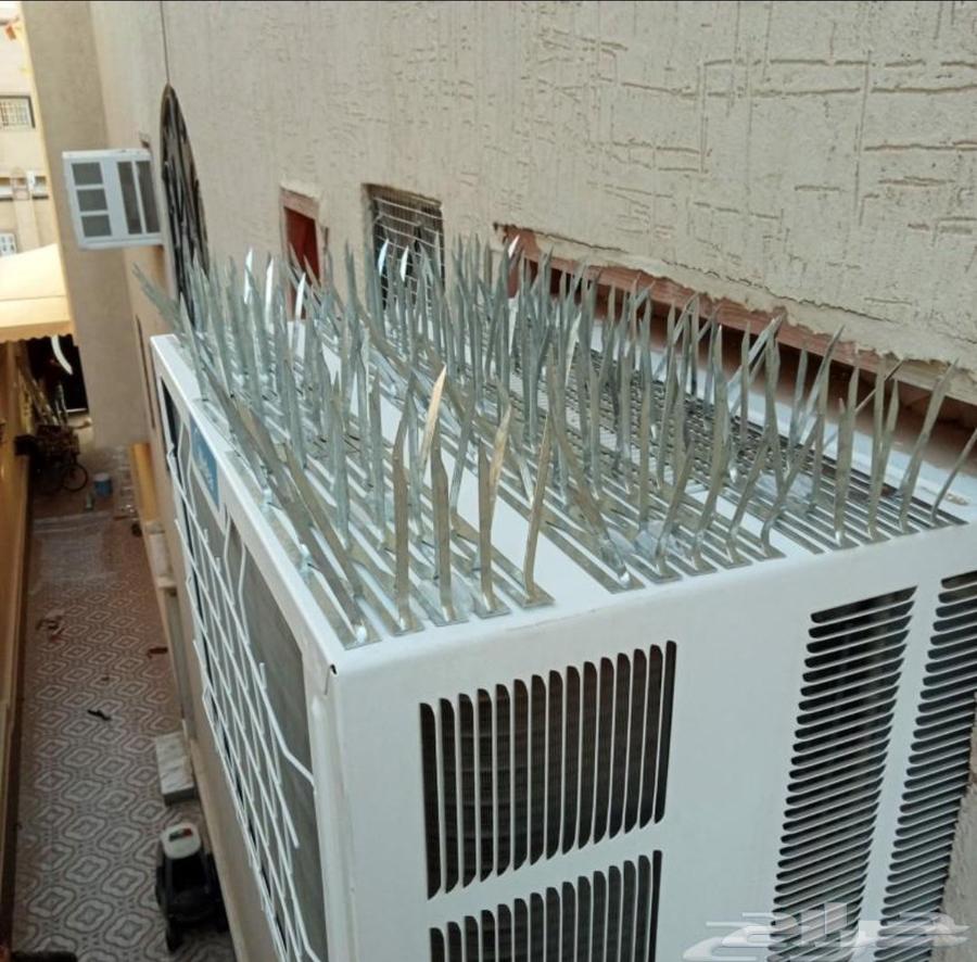 Pigeon Repellent Company Installing Nets and Spikes to Prevent Pigeons, Birds, and Cats64560487382017114