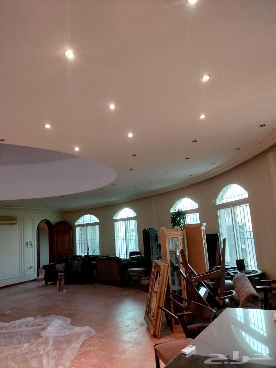 ديكور دهانات 2026 مهندس دهانات64531745365378112