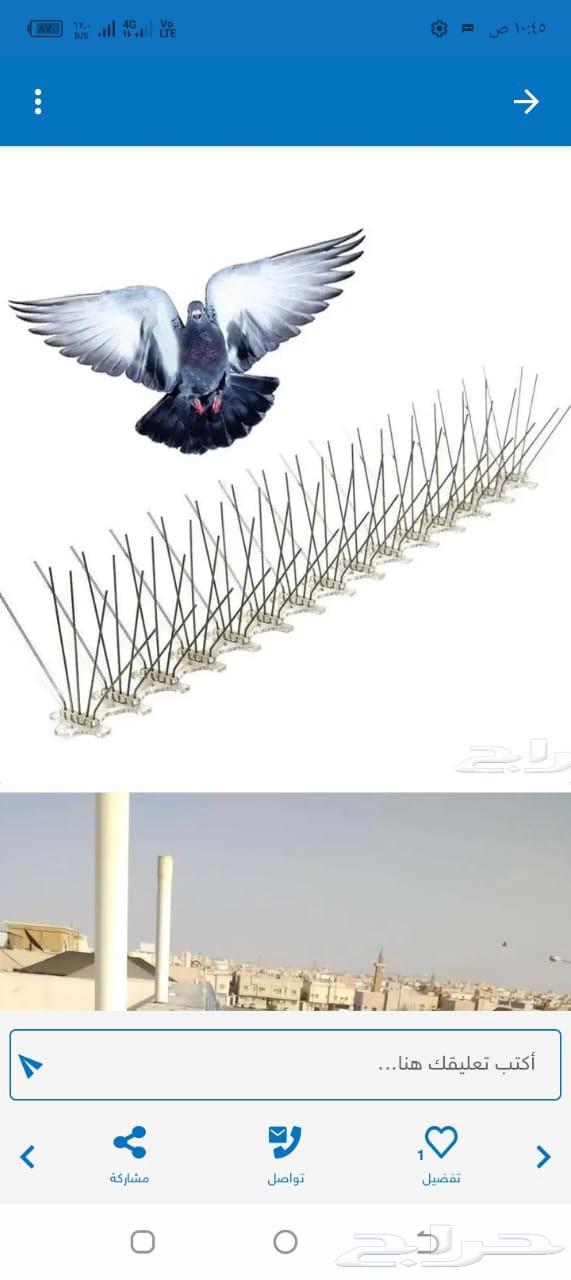 Pigeon Repellent Company Installing Nets and Spikes to Prevent Pigeons, Birds, and Cats64560487382017112