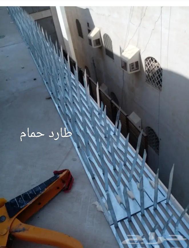 Pigeon Repellent Company Installing Nets and Spikes to Prevent Pigeons, Birds, and Cats64560487382017113