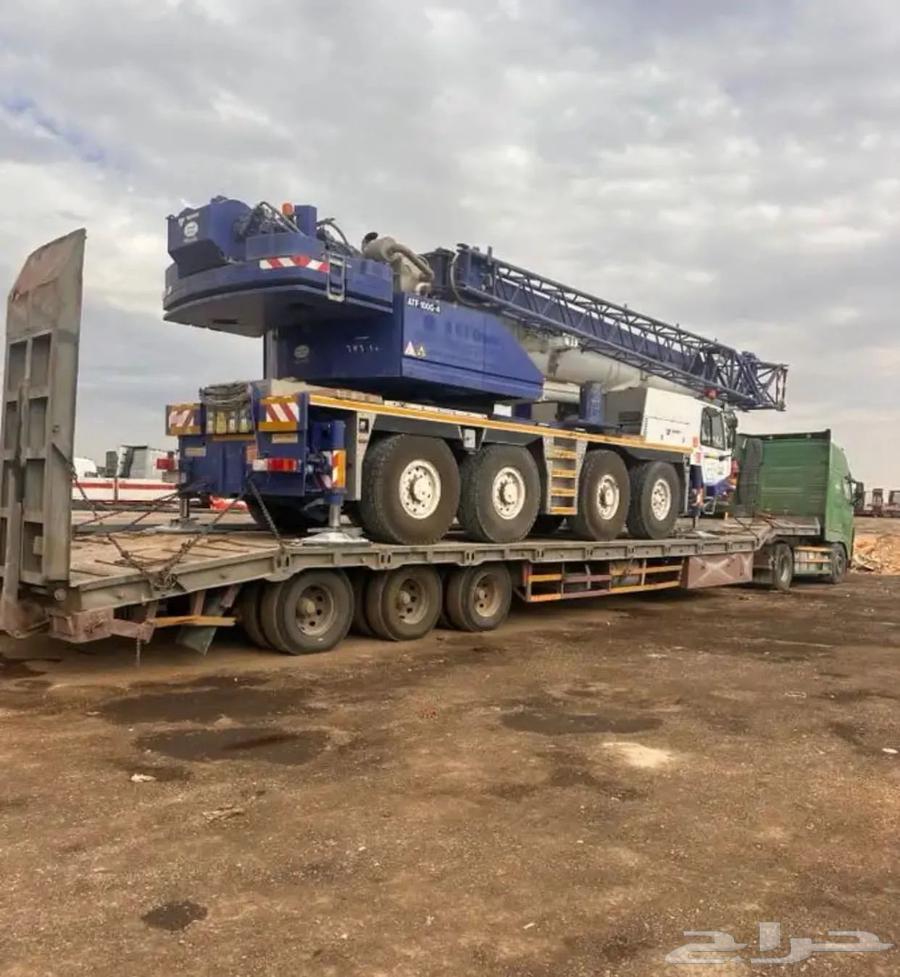 لوبد في القصيم64592926640769111