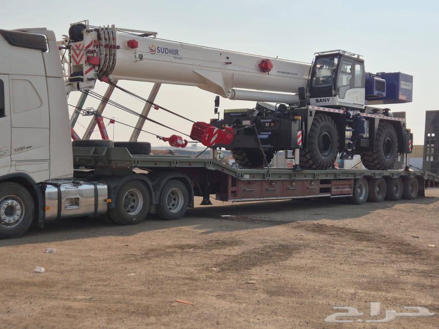 لوبد في القصيم64592926640769110