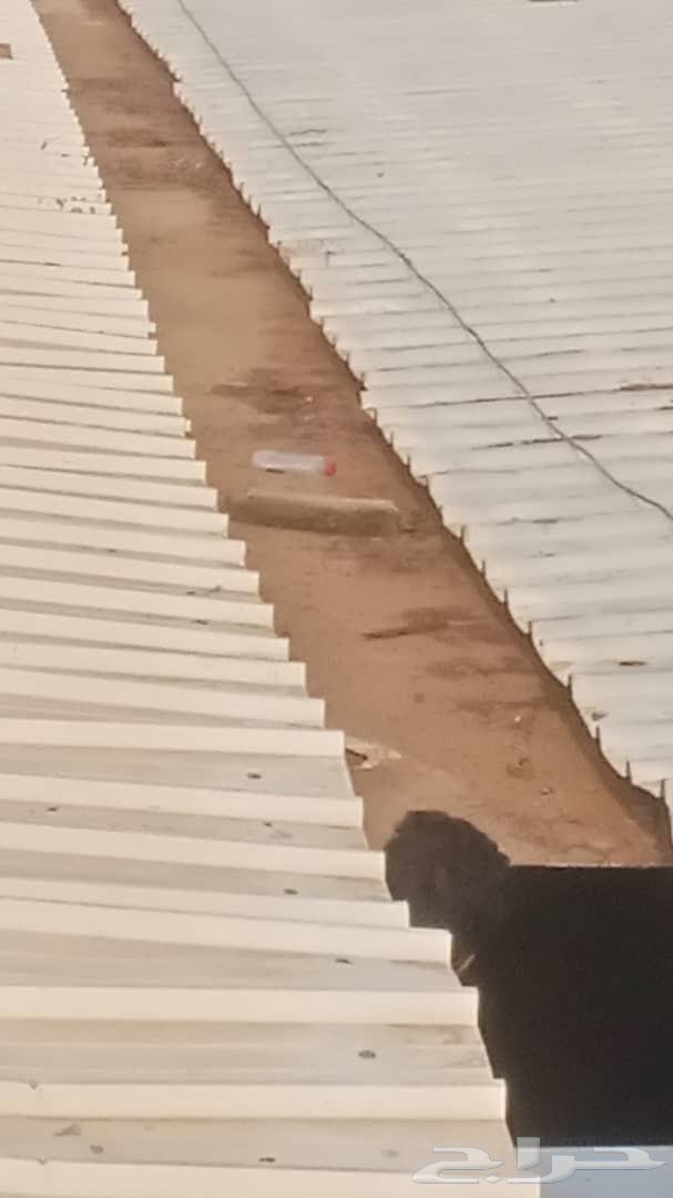 حداد ونوع الحدابد64402845085187110