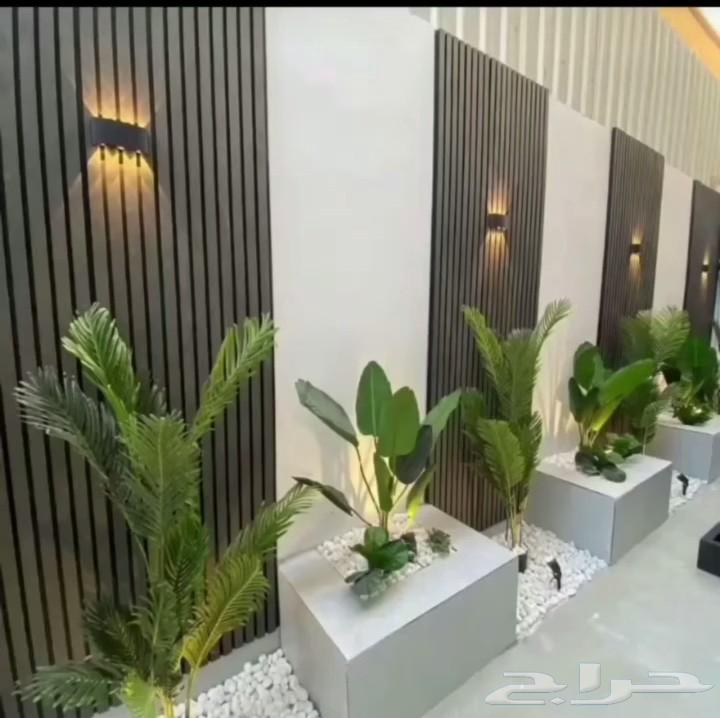 تكريب نخيل وتنسيق64345846904577113