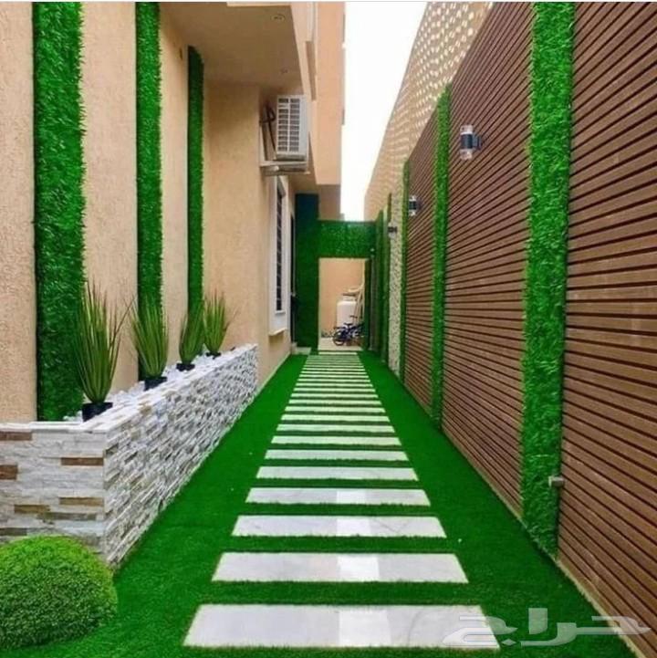 تكريب نخيل وتنسيق64345846904577112