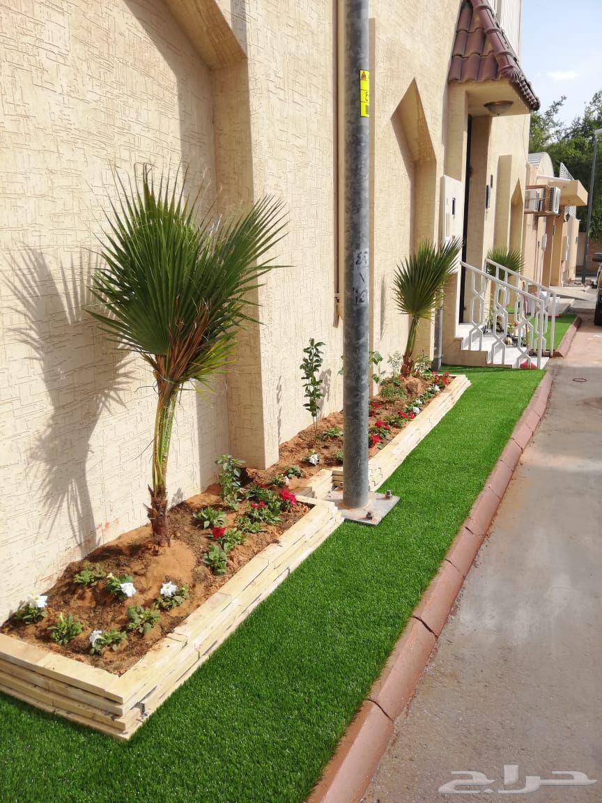 Cultivation of all types of roses and trees64345778363651112