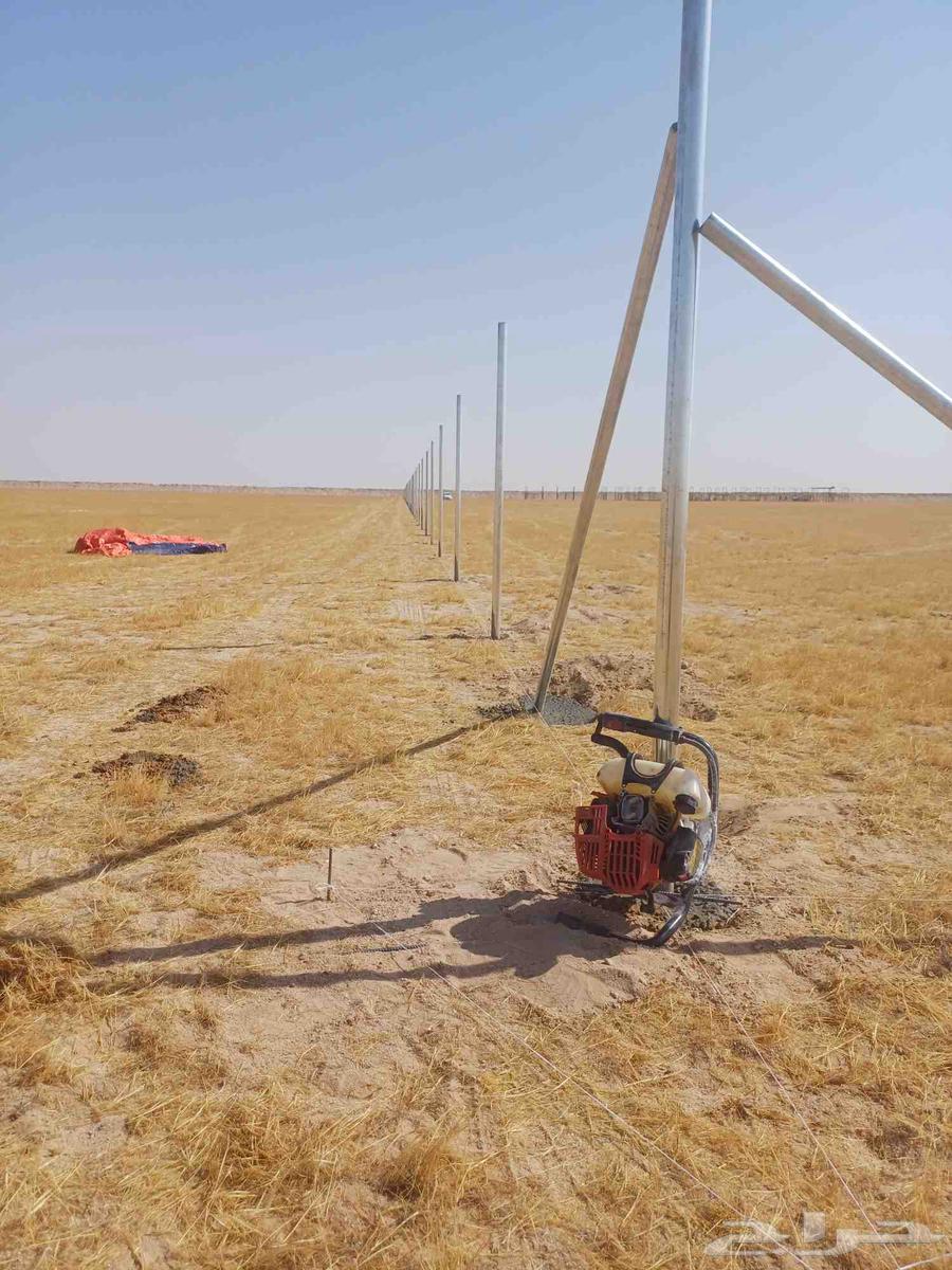 We supply and install all types of fences and Arabian and Washington palm trees64349990444417113