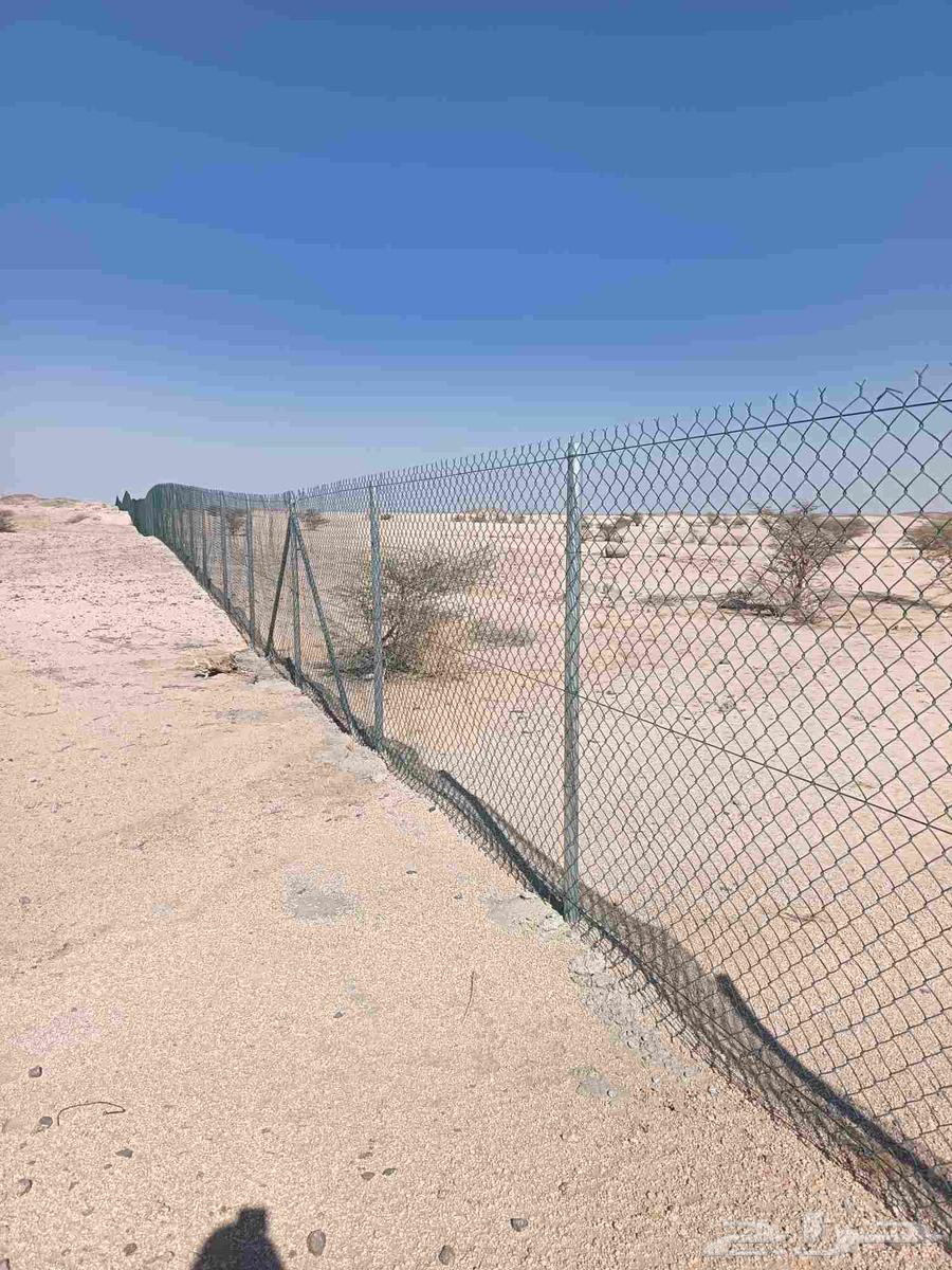 تركيب شبوك بجميع انواعها64354941304323111