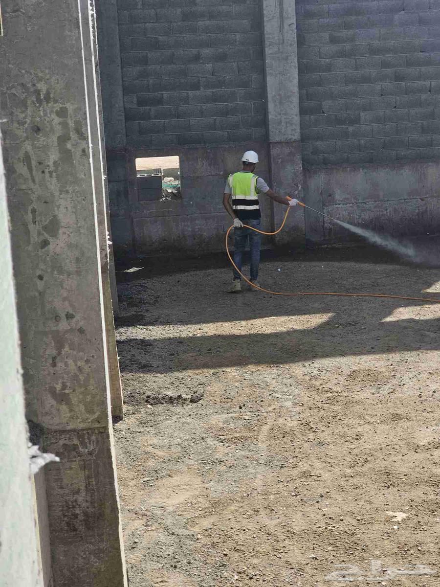 شركة مكافحة حشرات ورش مبيدات نمل وبق وصراصير64345896077059113