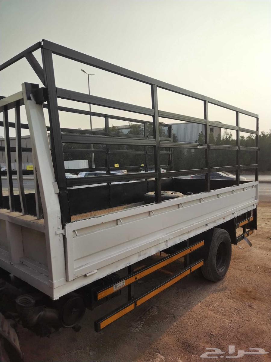 شبك دينا64354958695555112