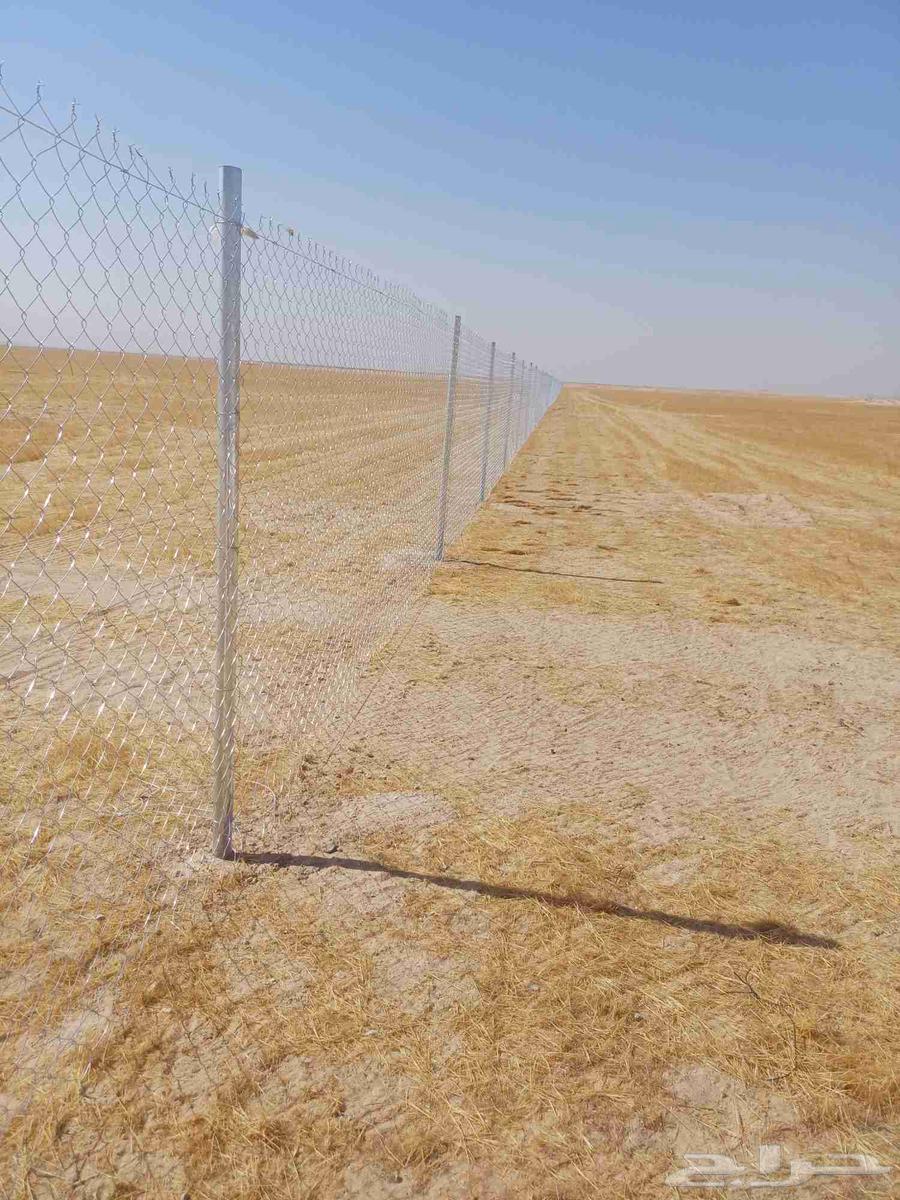 We supply and install all types of fences and Arabian and Washington palm trees64349990444417112