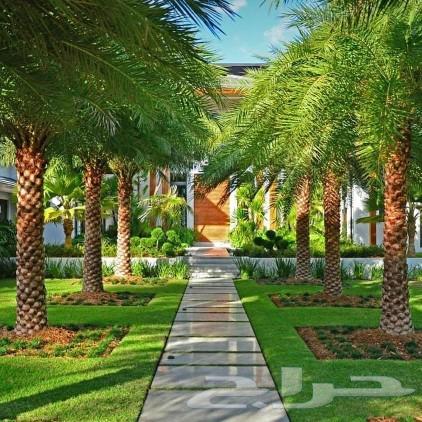 تنسيق حدائق جدة64402927225474113