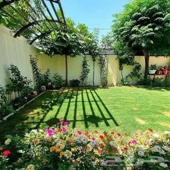 تنسيق حدائق جدة64402927225474114