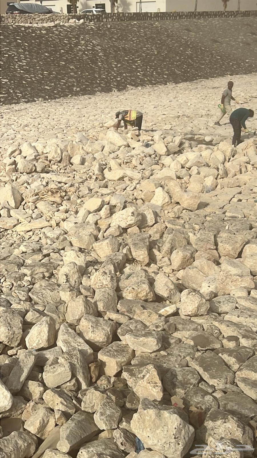 تركيب حواجز حجر و ربراب وتركيب شبوك64594261152513114