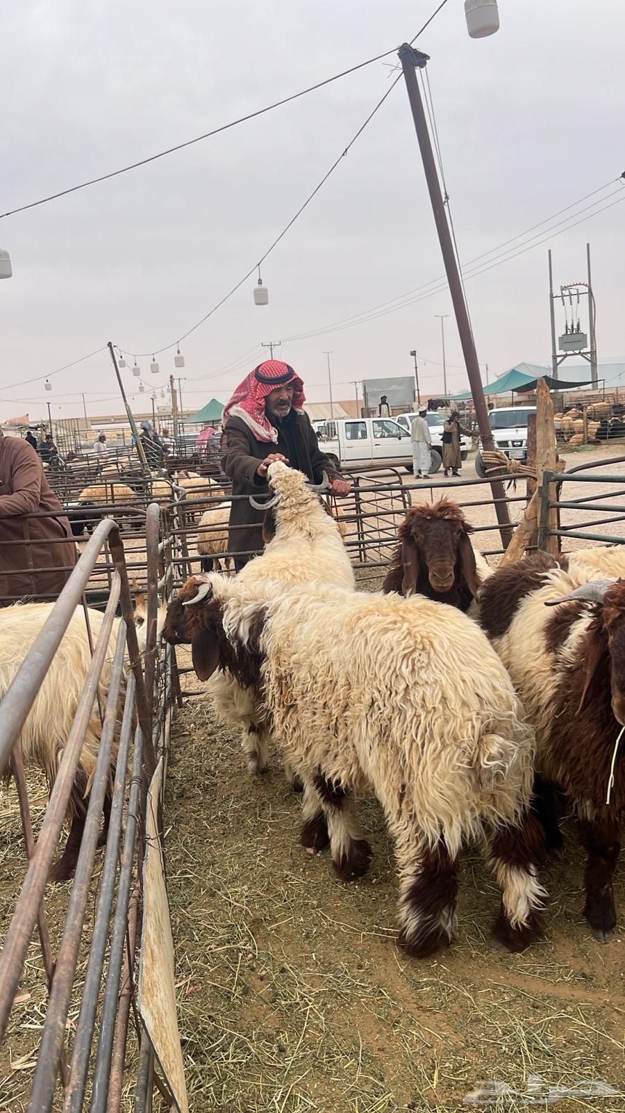 ذبيحتك لباب بيتك64589714853507110