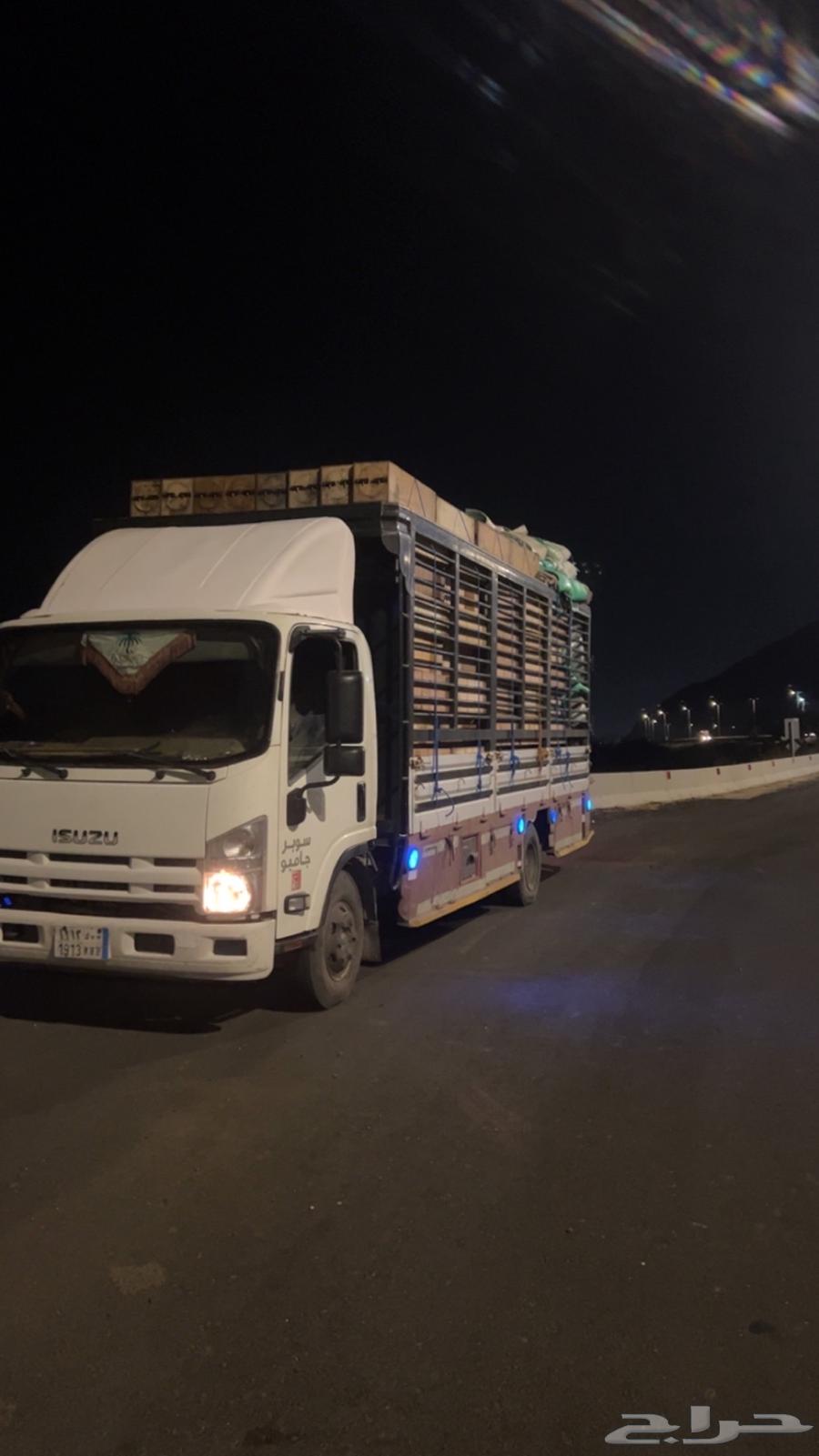 دينه محايل64594162509827111