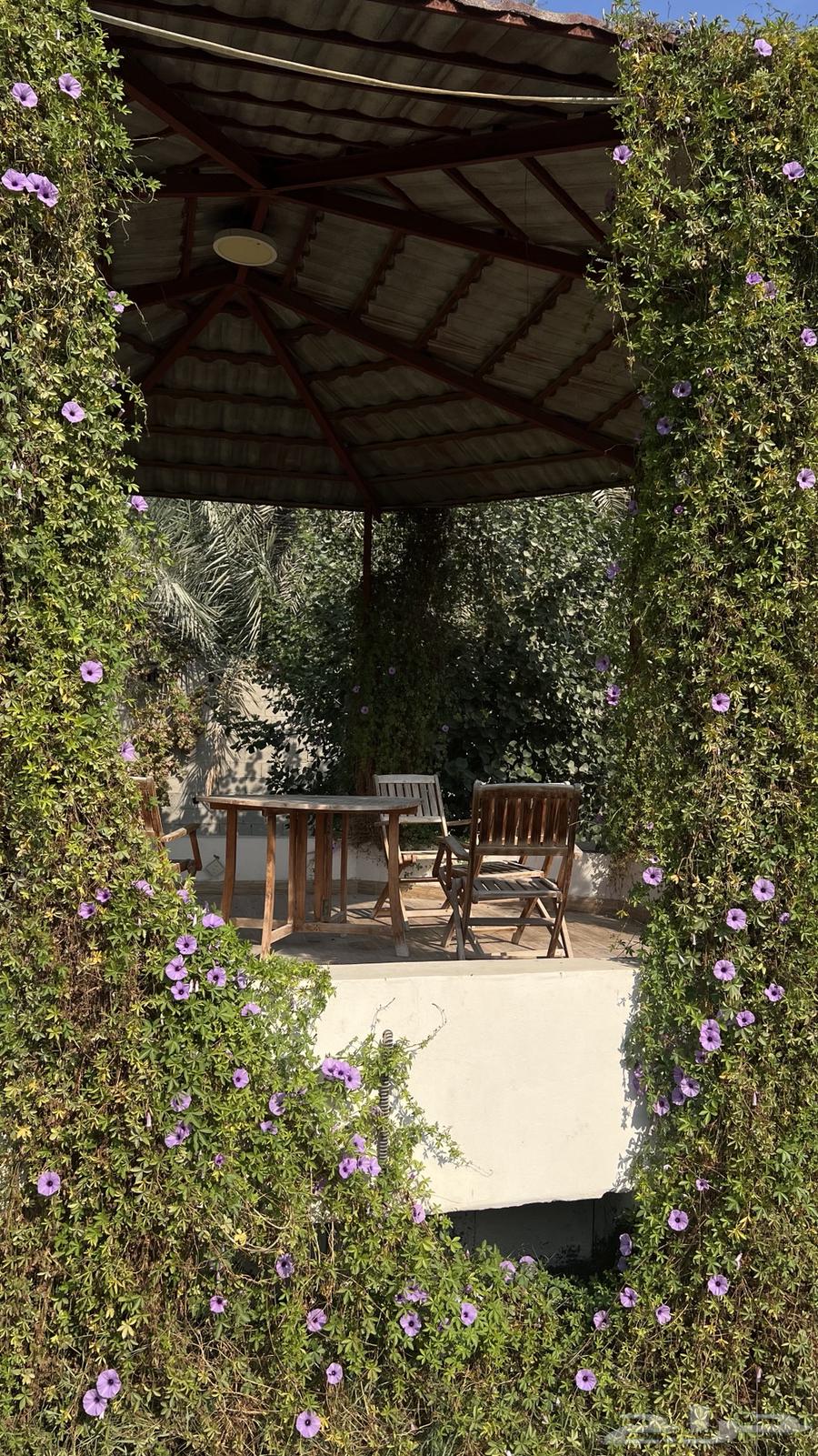 منتجع للايجار بالساعه (99 ) ريال64594083928707110