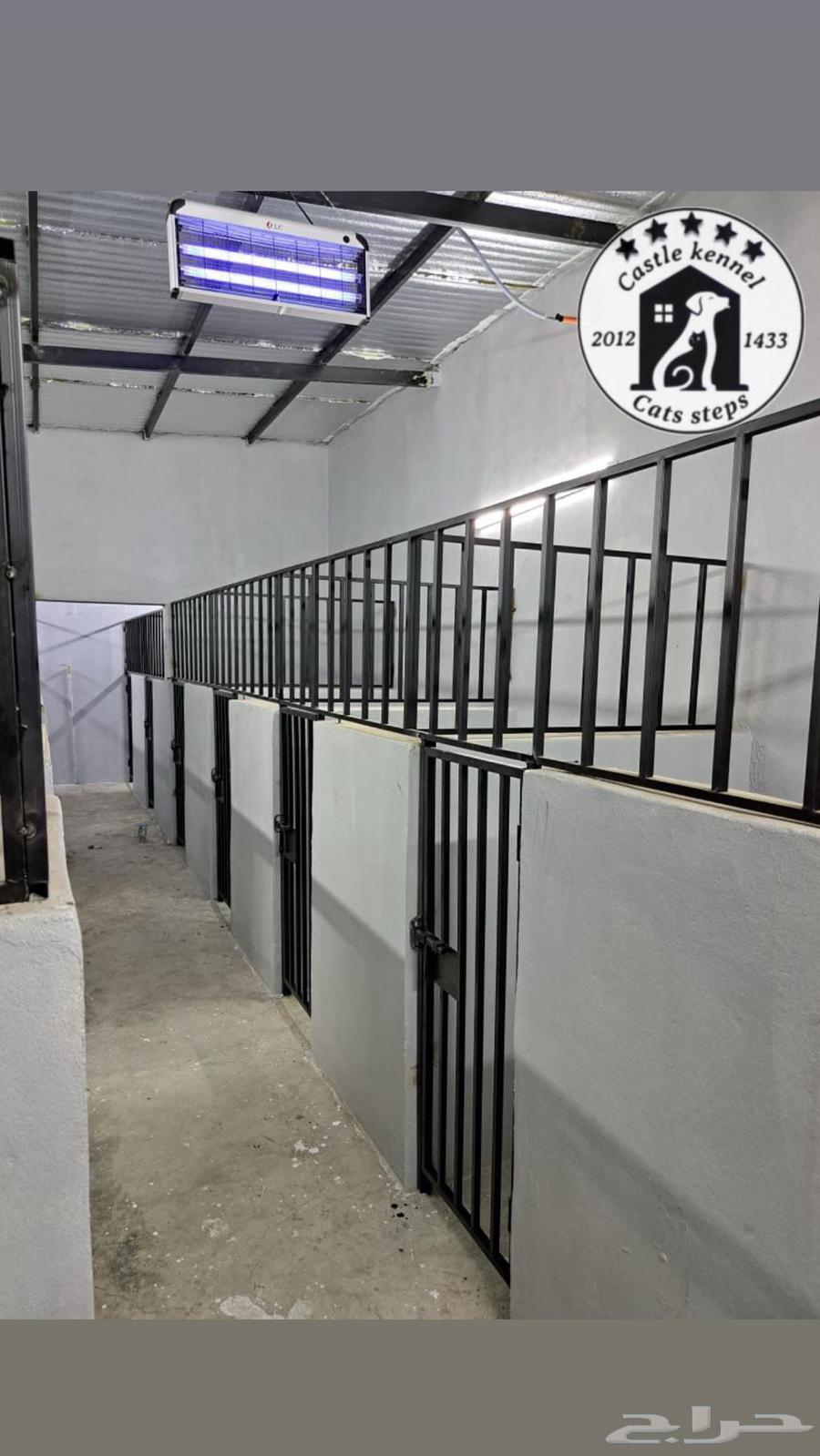 فندقة وتدريب كلاب64668940154113113