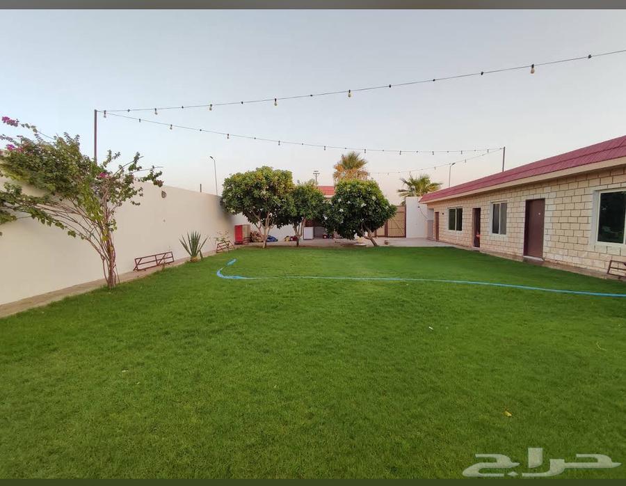 Spacious Rest House for Annual Rental (One Day per Week) for One Year64589641258242113