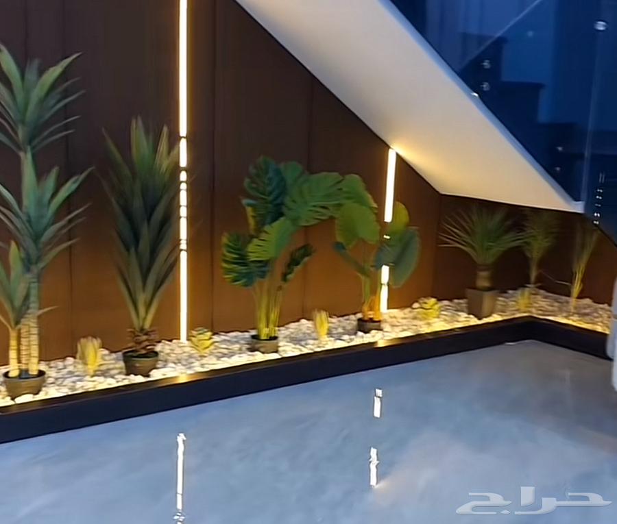 دهان وفني ديكورات64594274613633113