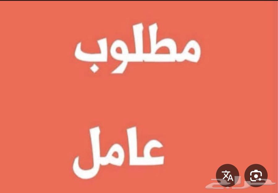 متوفر تأشيرات للبيع ونقل عماله علا الموسسه أو شركه64594259987075110