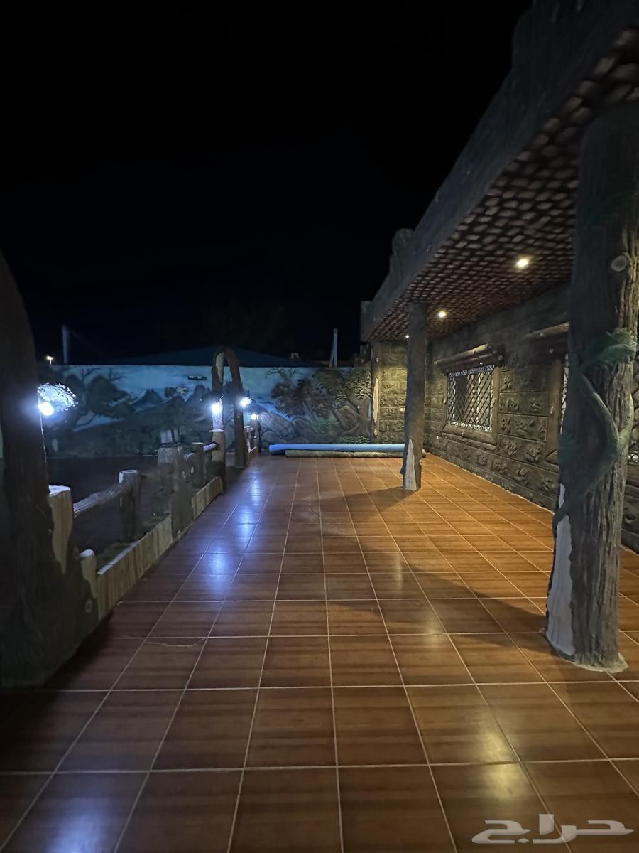 نعمان بالقرب من مركز تفتيش عرفات64594116633730111