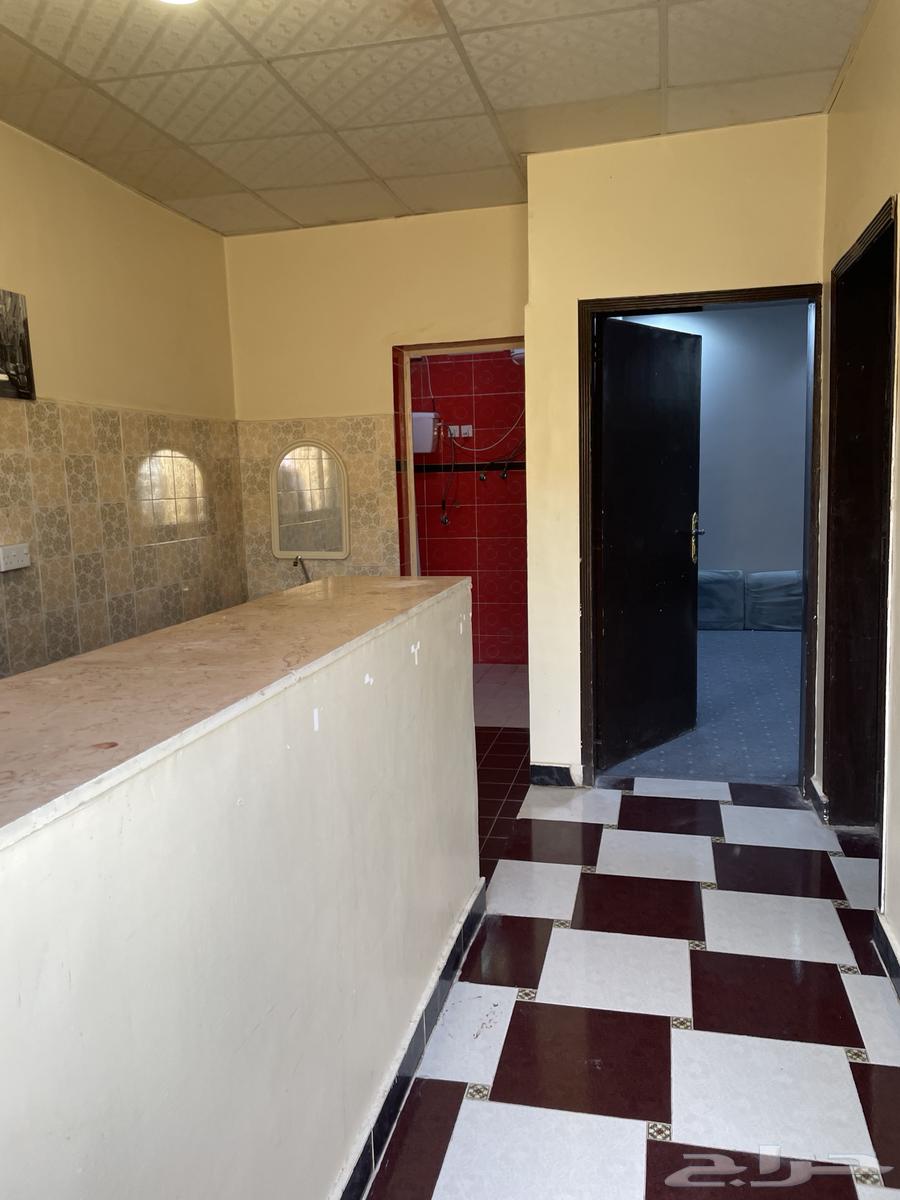 شقة عزاب ارضيه بالريان64594052243841110