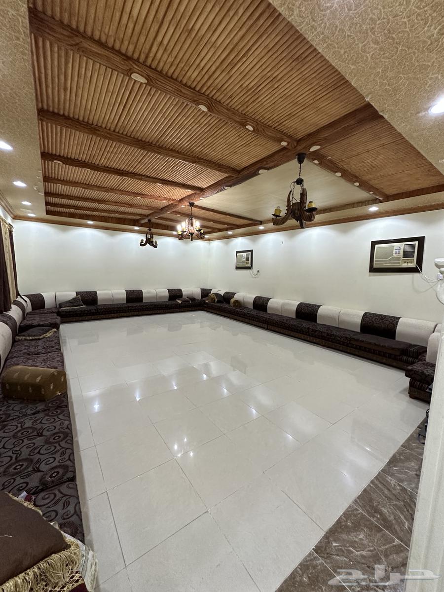 نعمان بالقرب من مركز تفتيش عرفات64594116633730112