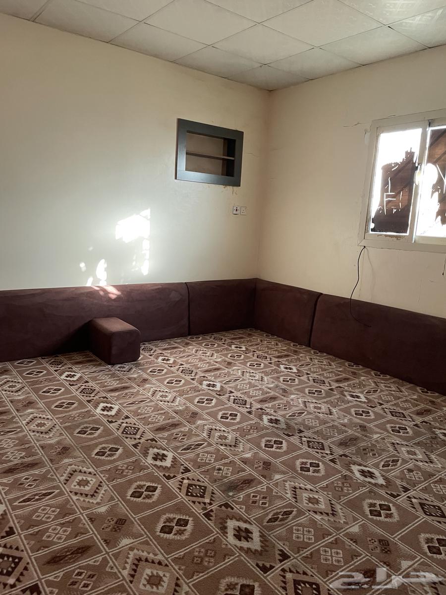 شقة عزاب ارضيه بالريان64594052243841111