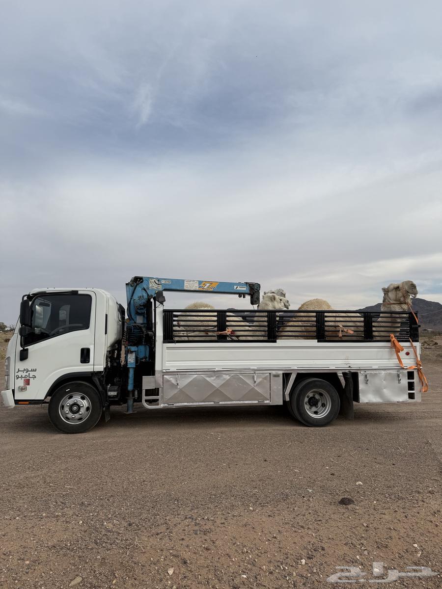 دنا هيدروليك64594244704513110