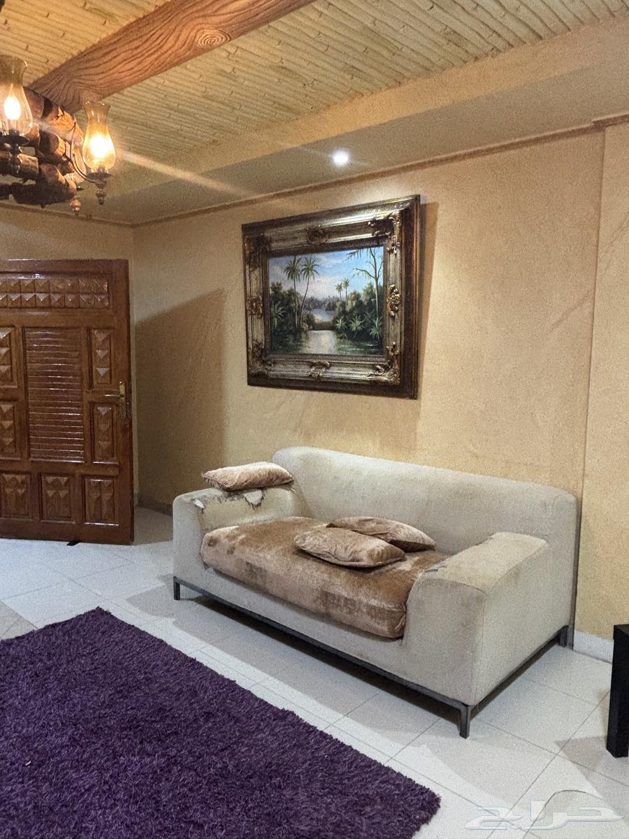 A furnished two-room apartment in Al-Senabel (Str Al-Lihiani)64594117251457114
