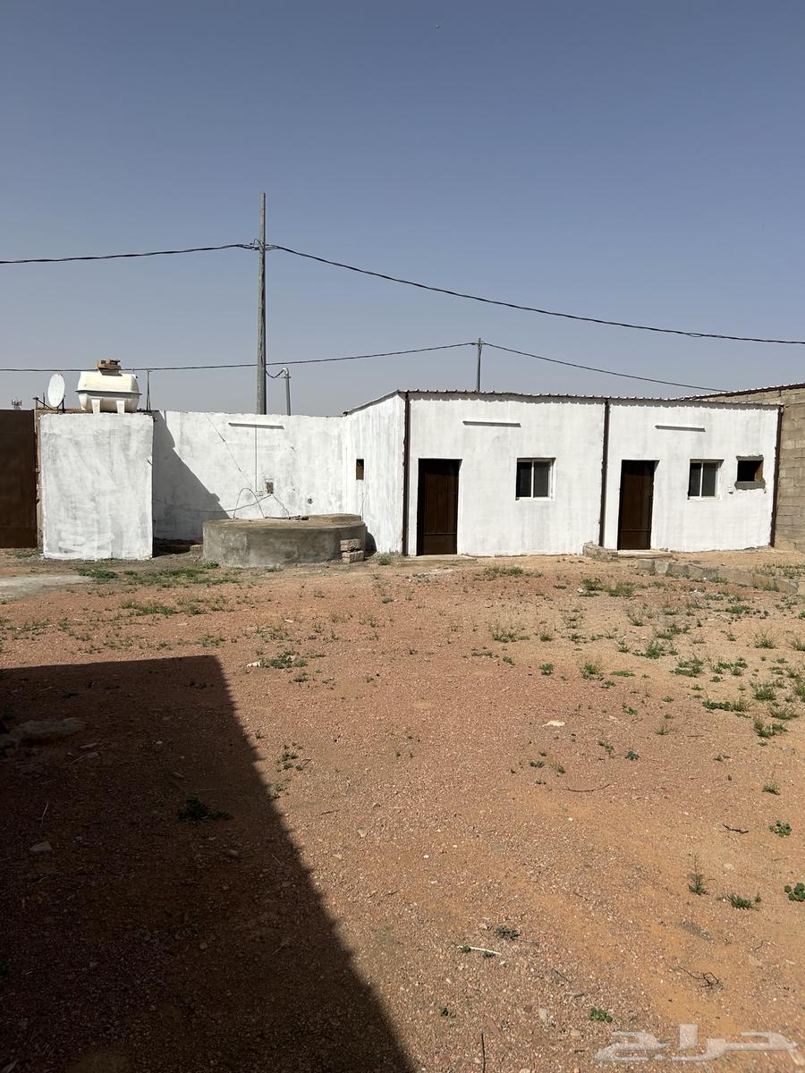 حوش بالسوق الجنوبي64594098860802110