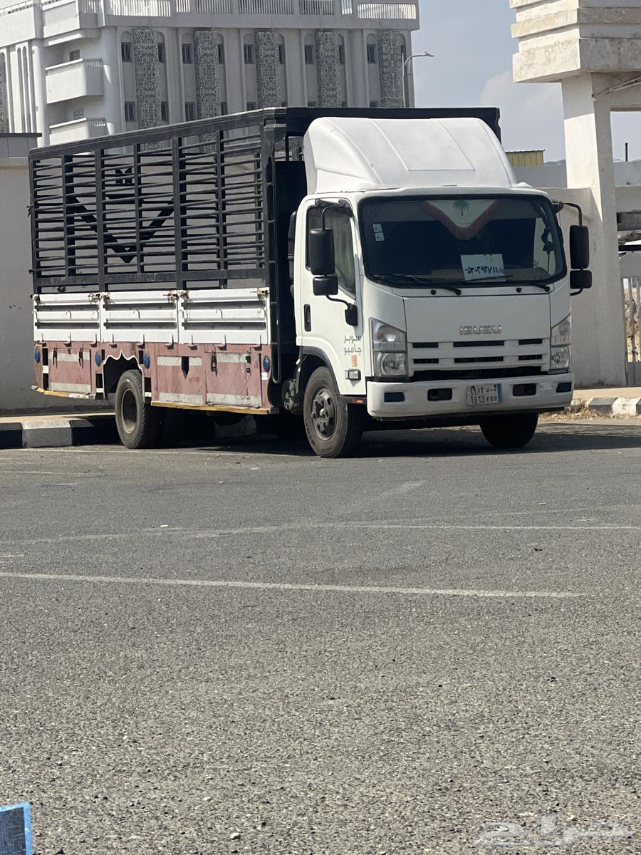 دينه محايل64594162509827110