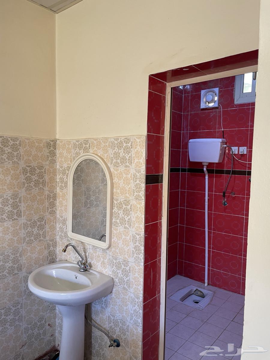 شقة عزاب ارضيه بالريان64594052243841113