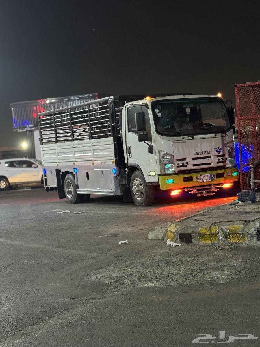 دينا شبك تحميل داخل جده64594245898113110