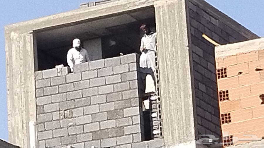 مقاول تشطيبات وإشراف سعودي64594274039682114