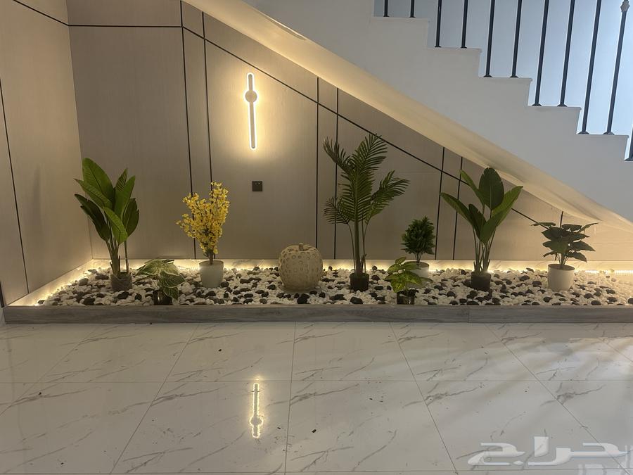 دهان وفني ديكورات64594274613633110