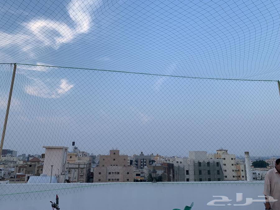 Football net for lounges64594245079937113