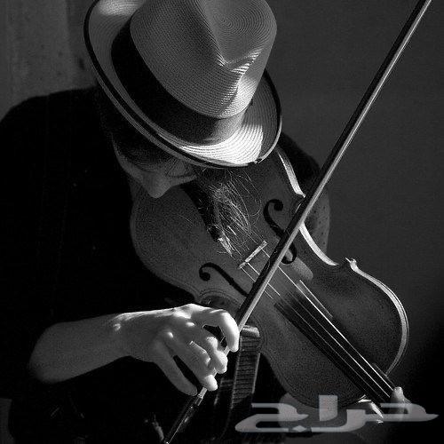 عازف او عازفة كمان وجيتار وساكسفون قانون64589728740609111